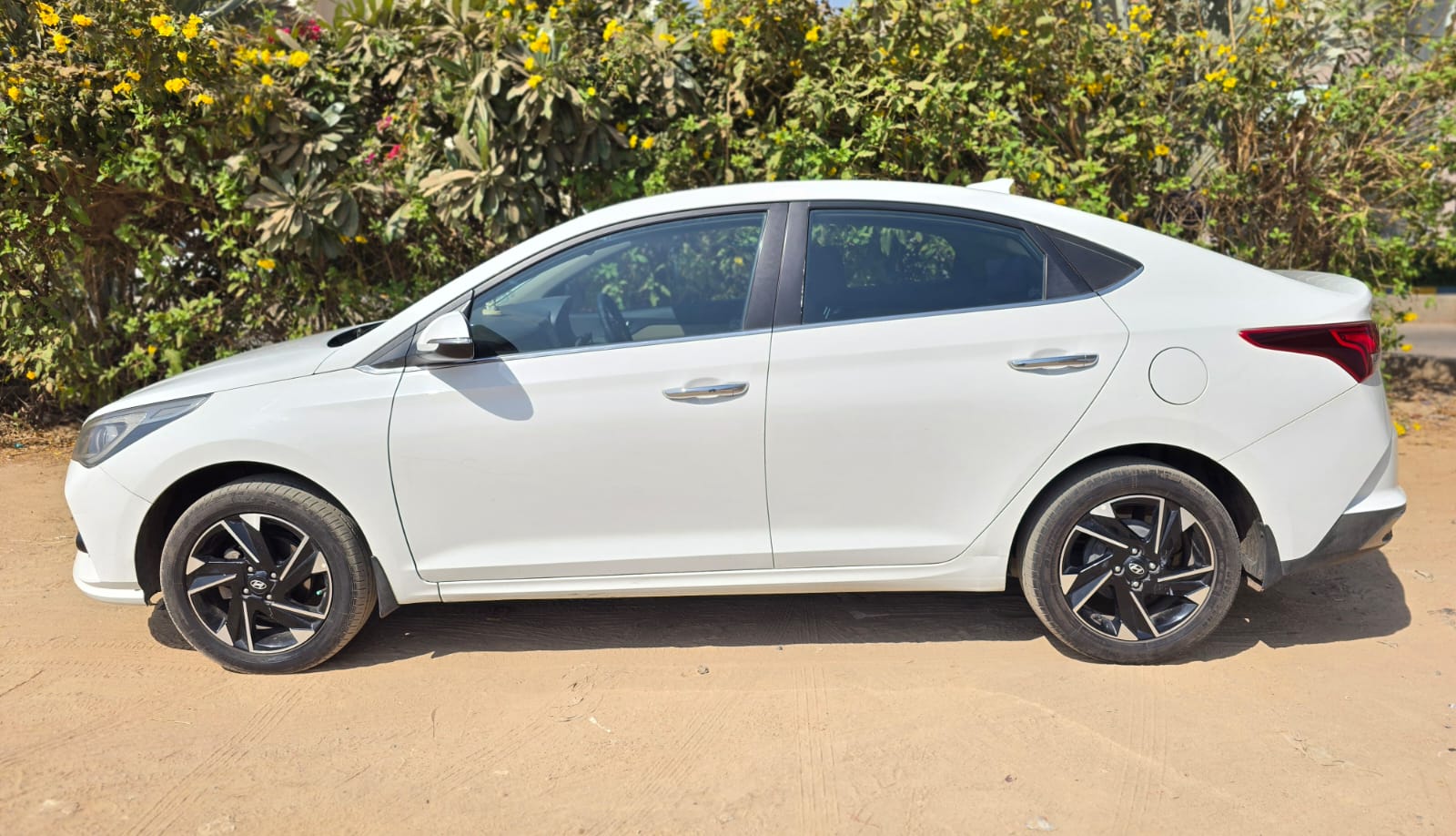 verna-5508-left