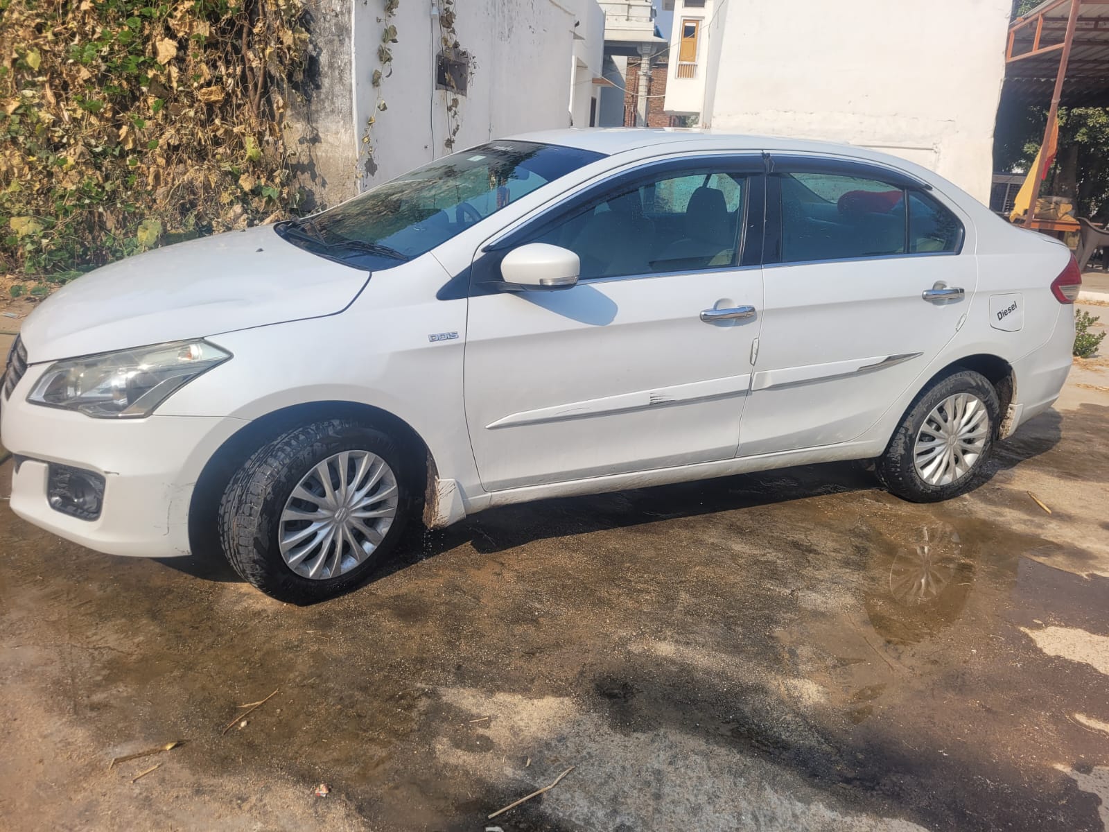 ciaz