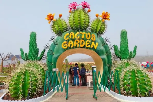 cactus garden