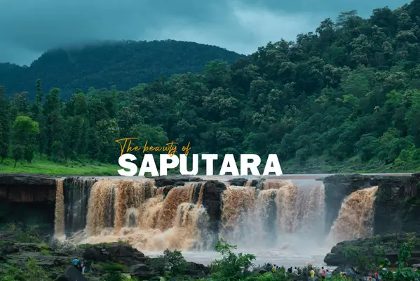 waterfall saputara