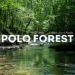 Monsoon Escape to Polo Forest: A Self-Drive Itinerary from Ahmedabad