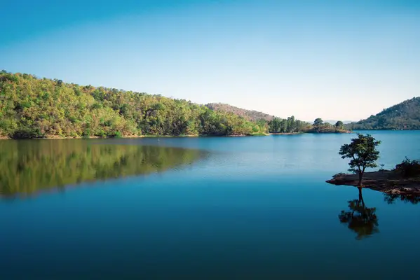 lake view of polo forest
