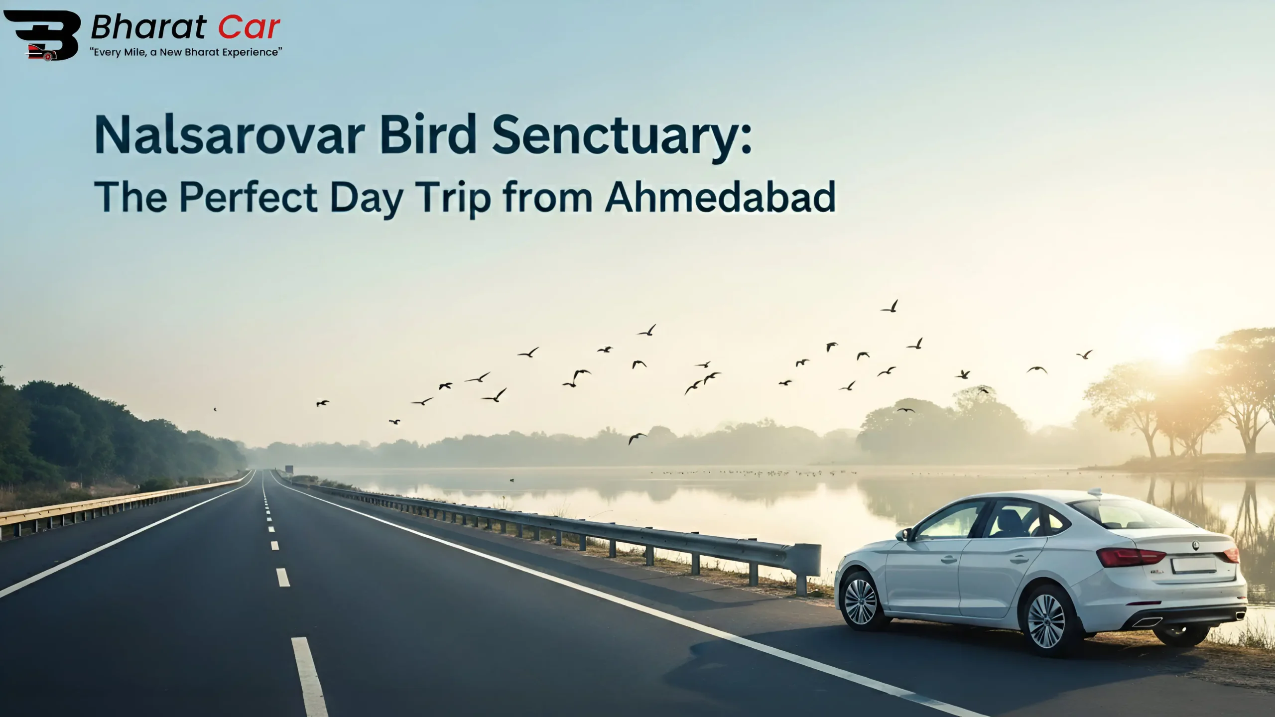 "Nalsarovar Bird Sanctuary from Ahmedabad"