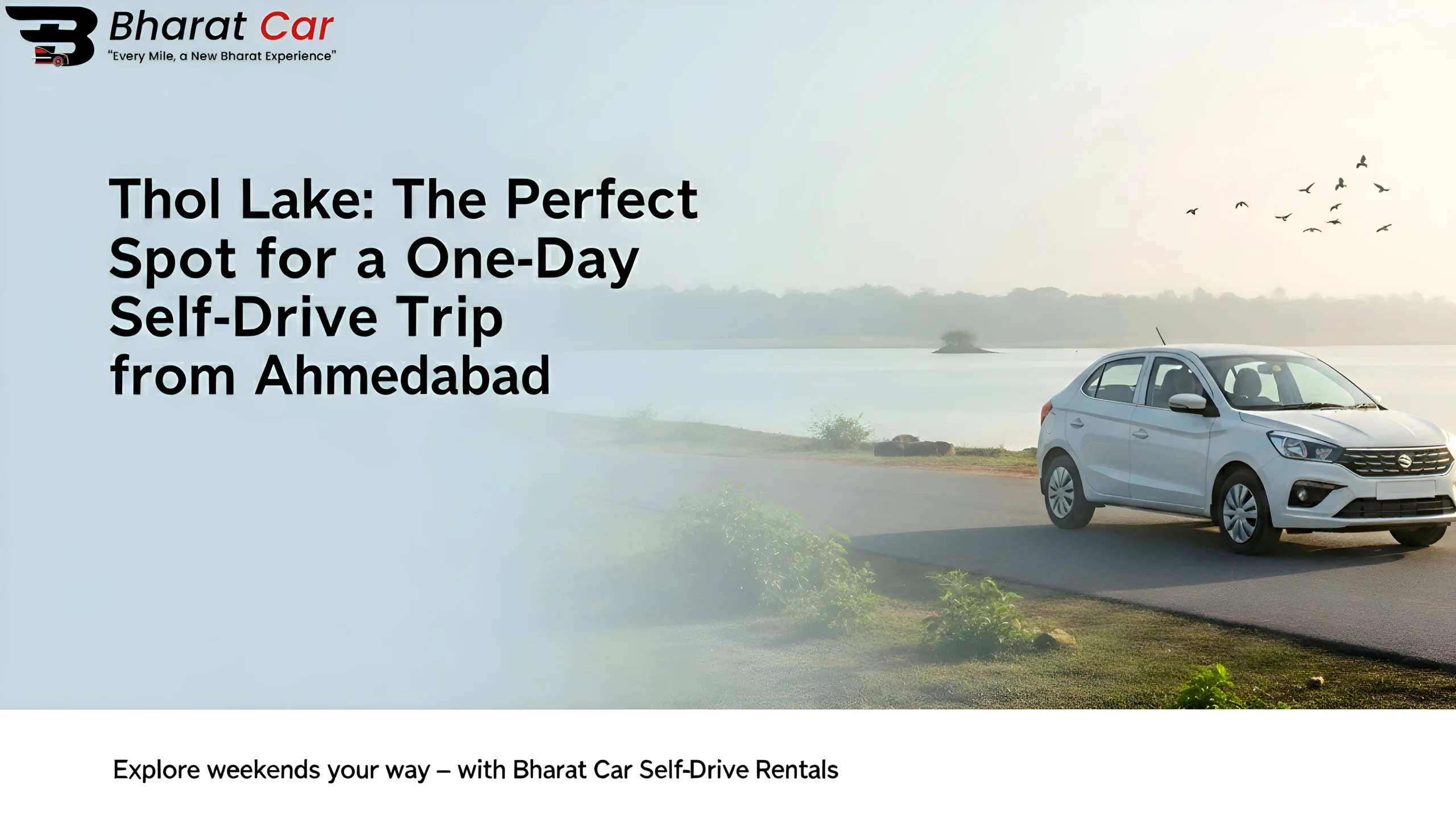 "Thol Lake Bird Sanctuary near Ahmedabad"