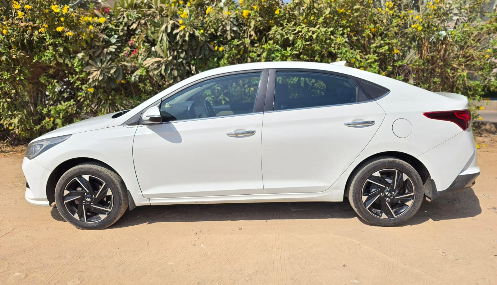 Verna